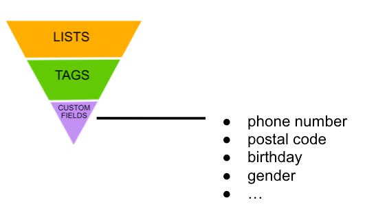 custom-fields